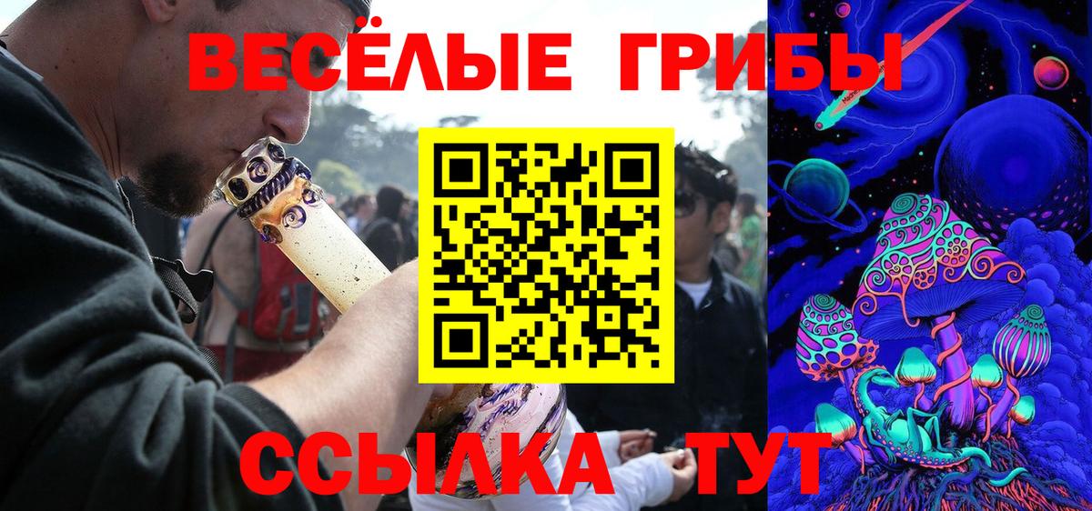 Псилоцибиновые грибы MAGIC MUSHROOMS  Вход с VPN  Дедовск 